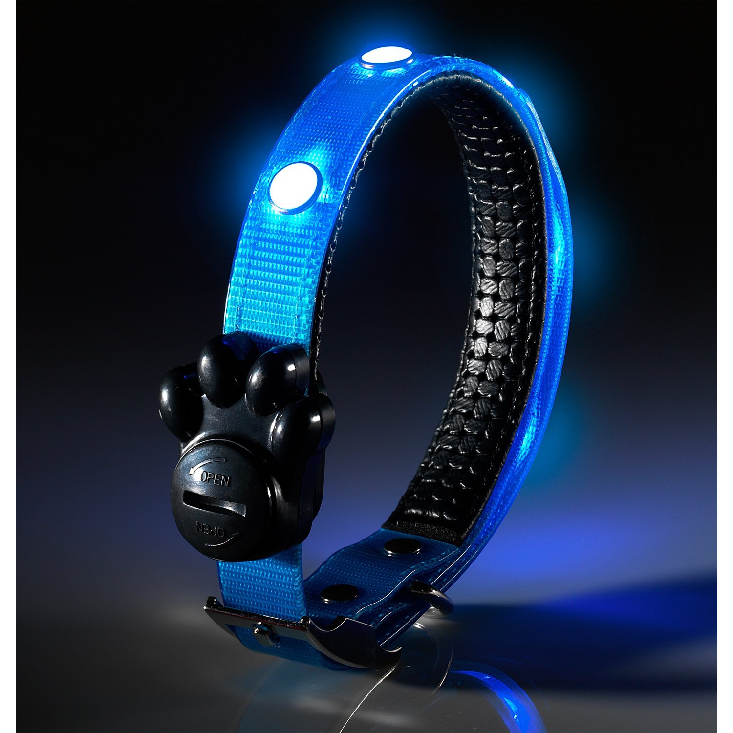 Auraglow Super Bright LED Light Up Dog Collar High Visibility Flashing