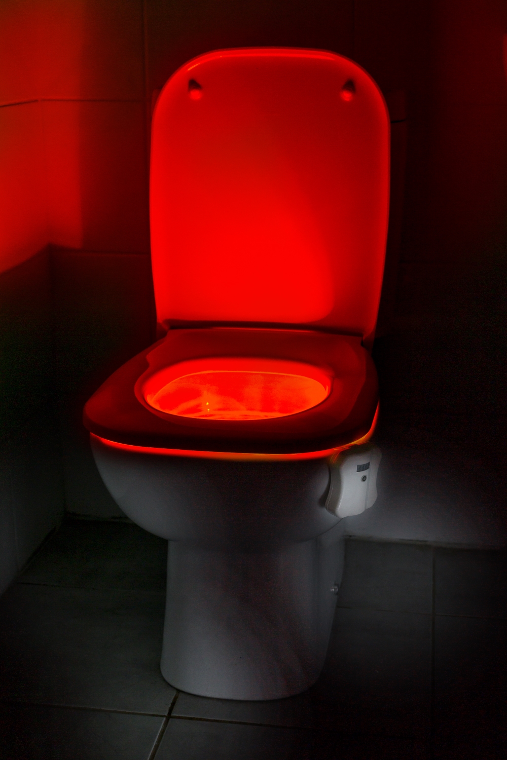 toilet4.jpg