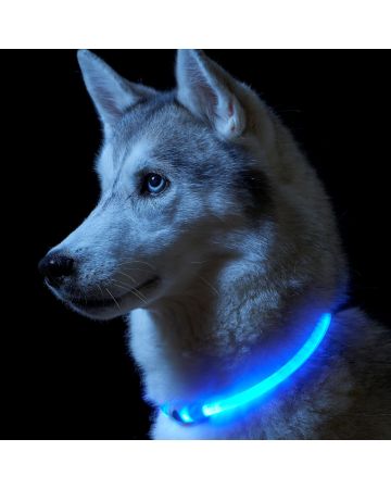 Auraglow Super Bright LED Light Up Dog Collar High Visibility Flashing Safety Pet Leash - RED
